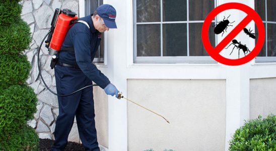 Balya Bit İlaçlama böcek ilaçlama ve haşere kontrolü — ilaclama-tr.com
